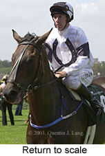 Return to scale (11608 bytes)