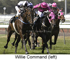 Willie Command (18831 bytes)