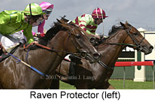 Raven Protector (14206 bytes)