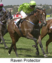 Raven Protector (15845 bytes)