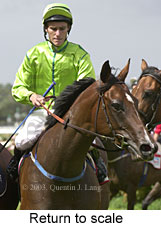 Return to scale (13829 bytes)