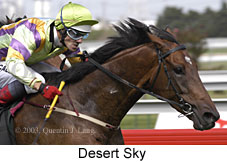 Desert Sky (14226 bytes)