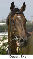 Desert Sky (10026 bytes)