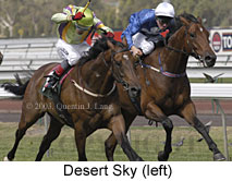 Desert Sky (15088 bytes)