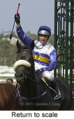 Return to scale (13588 bytes)