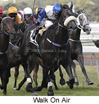 Walk On Air (16473 bytes)