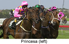 Princesa (13931 bytes)