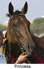 Princesa (10583 bytes)