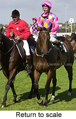 Return to scale (17221 bytes)