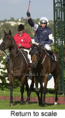 Return to scale (14573 bytes)