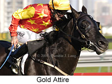 Gold Attire (15330 bytes)