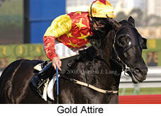 Gold Attire (15261 bytes)