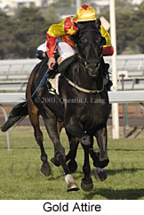 Gold Attire (12834 bytes)