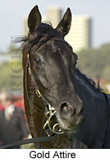 Gold Attire (17255 bytes)