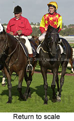 Return to scale (14573 bytes)