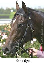 r1rohatyn3.jpg (9219 bytes)