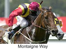 r2montaigneway.jpg (10355 bytes)