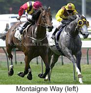 r2montaigneway2.jpg (11999 bytes)