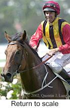 r2rtosc.jpg (9448 bytes)