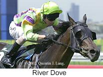 r3riverdove.jpg (9470 bytes)