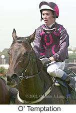 r4otemptation.jpg (8736 bytes)