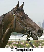 r4otemptation2.jpg (8083 bytes)