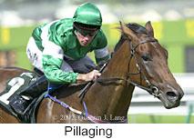 r5pillaging.jpg (9342 bytes)