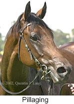 r5pillaging2.jpg (7878 bytes)