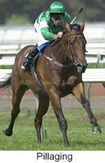 r5pillaging3.jpg (9895 bytes)