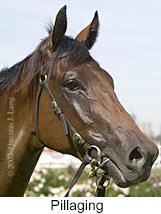 r5pillaging4.jpg (8461 bytes)