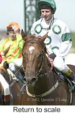 r6rtosc.jpg (10020 bytes)