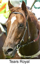 r6tearsroyal2.jpg (12875 bytes)