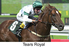 r6tearsroyal3.jpg (13687 bytes)