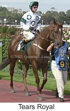 r6tearsroyal4.jpg (10253 bytes)