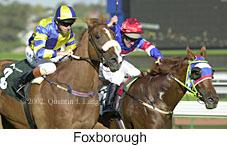 r9foxborough.jpg (10577 bytes)