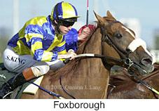 r9foxborough2.jpg (11255 bytes)