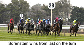 Sorenstam (14872 bytes)