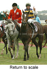 Return to scale (15361 bytes)