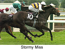 Stormy Miss (14872 bytes)
