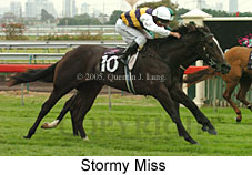 Stormy Miss (14872 bytes)