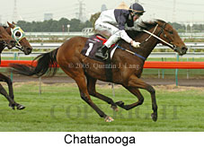 Chattanooga (14872 bytes)