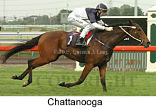 Chattanooga (14872 bytes)