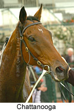 Chattanooga (14872 bytes)