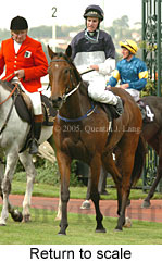 Return to scale (15361 bytes)