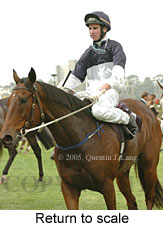 Return to scale (15361 bytes)