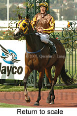 Return to scale (15361 bytes)