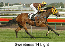 Sweetness 'N Light (14872 bytes)