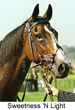 Sweetness 'N Light (14872 bytes)