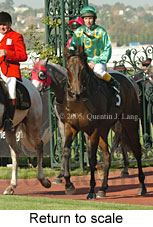 Return to scale (15361 bytes)