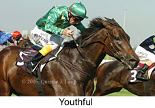 Youthful (14872 bytes)